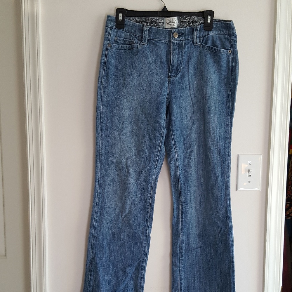 White House Black Market Blanc Denim Jeans